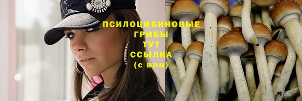 трава Абаза
