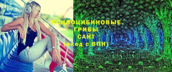 трава Абаза