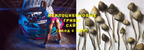 трава Абаза