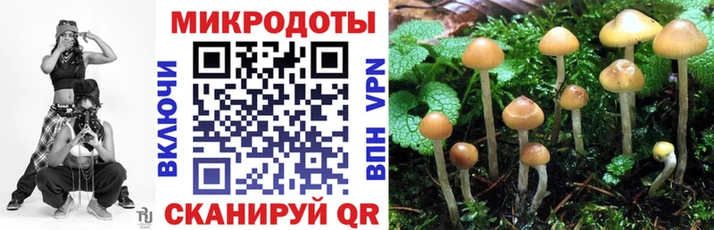 хочу наркоту площадка формула Галлюциногенные грибы мицелий Азов MEGA ТОР